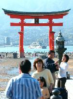 Tourists at Itsukushima Shrine's refurbished Torii gateway